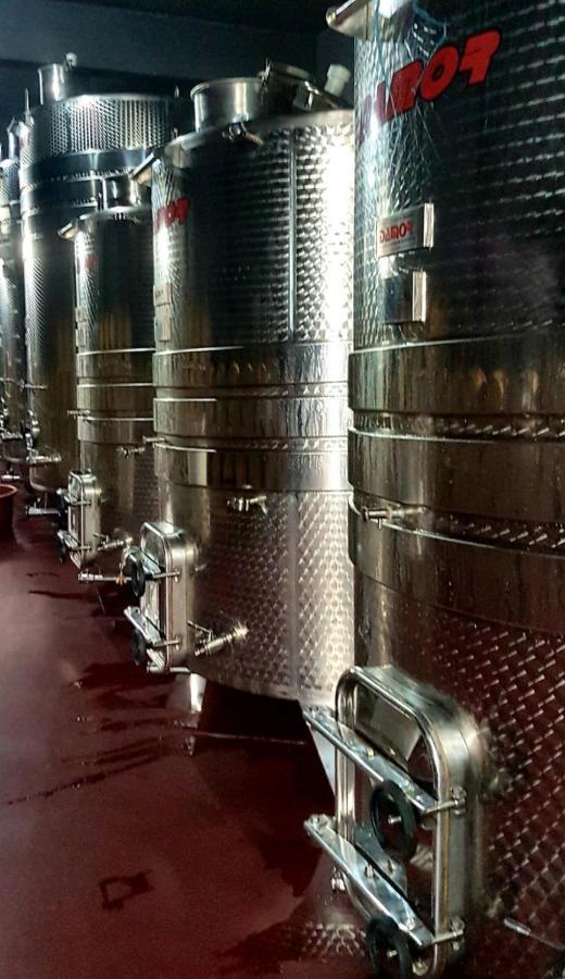 Wine Hotel Cesarica Medjugorje Exterior foto